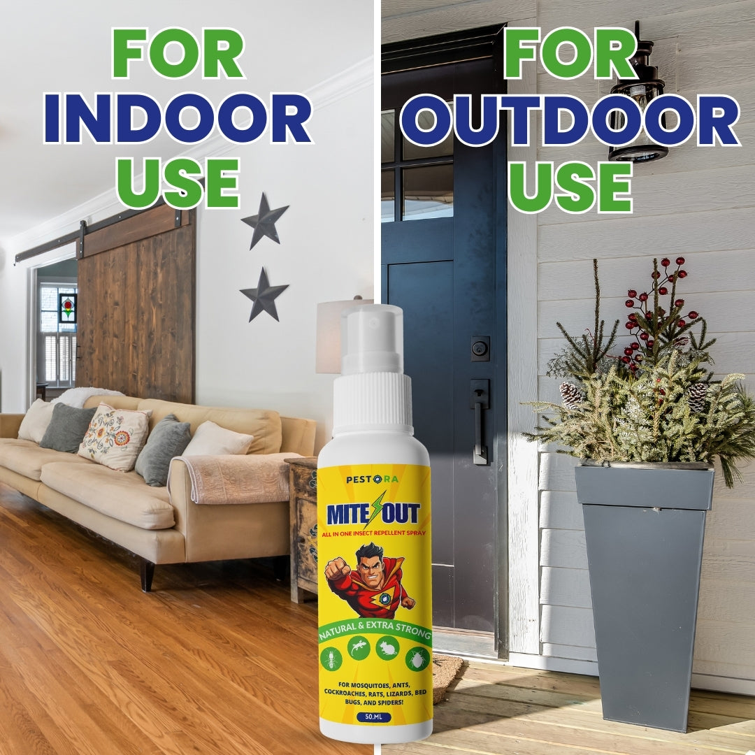 Pestora Mite Out - Natural & Extra Strong Insect & Mice Spray