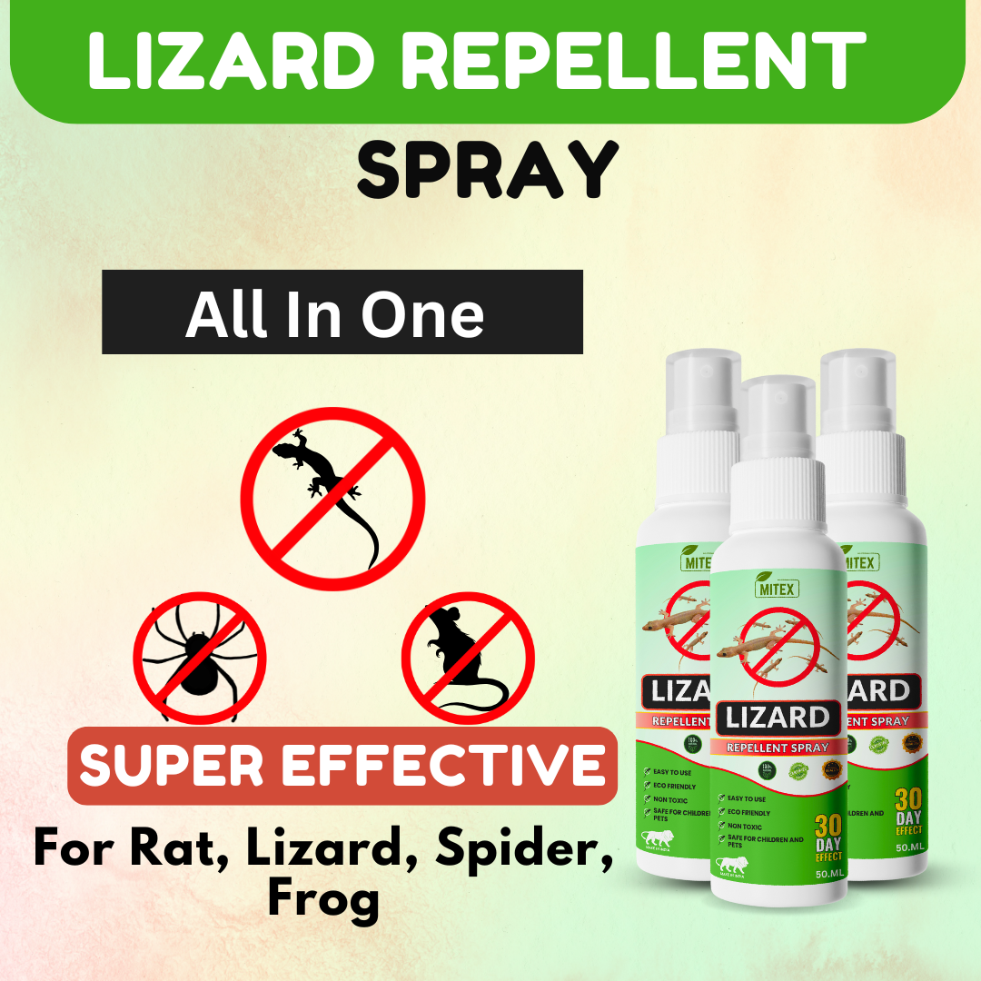 Lizard Repellent Spray - Protect your home from Pest, mite & insects ...