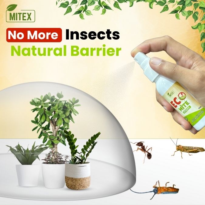 Eco Mite Spray - Say Goodbye to Mites Naturally – Mitex